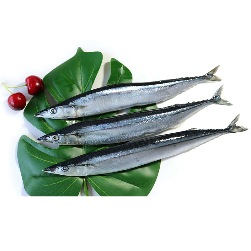 秋刀魚(yú)